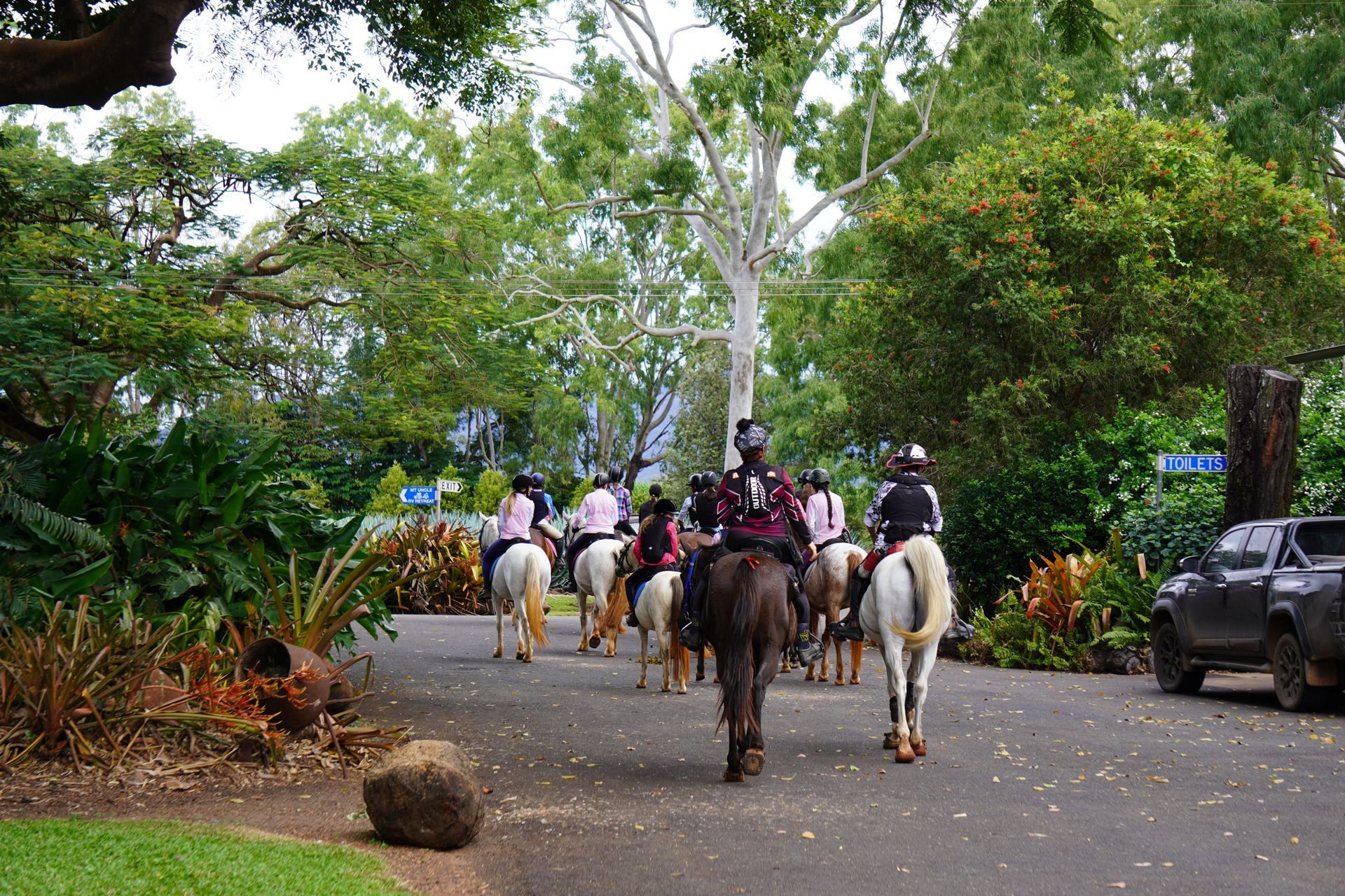 A Man and a Woman Are Standing Next to a Horse in a Stable — Meraki Equestrian Centre in Mareeba, QLD
