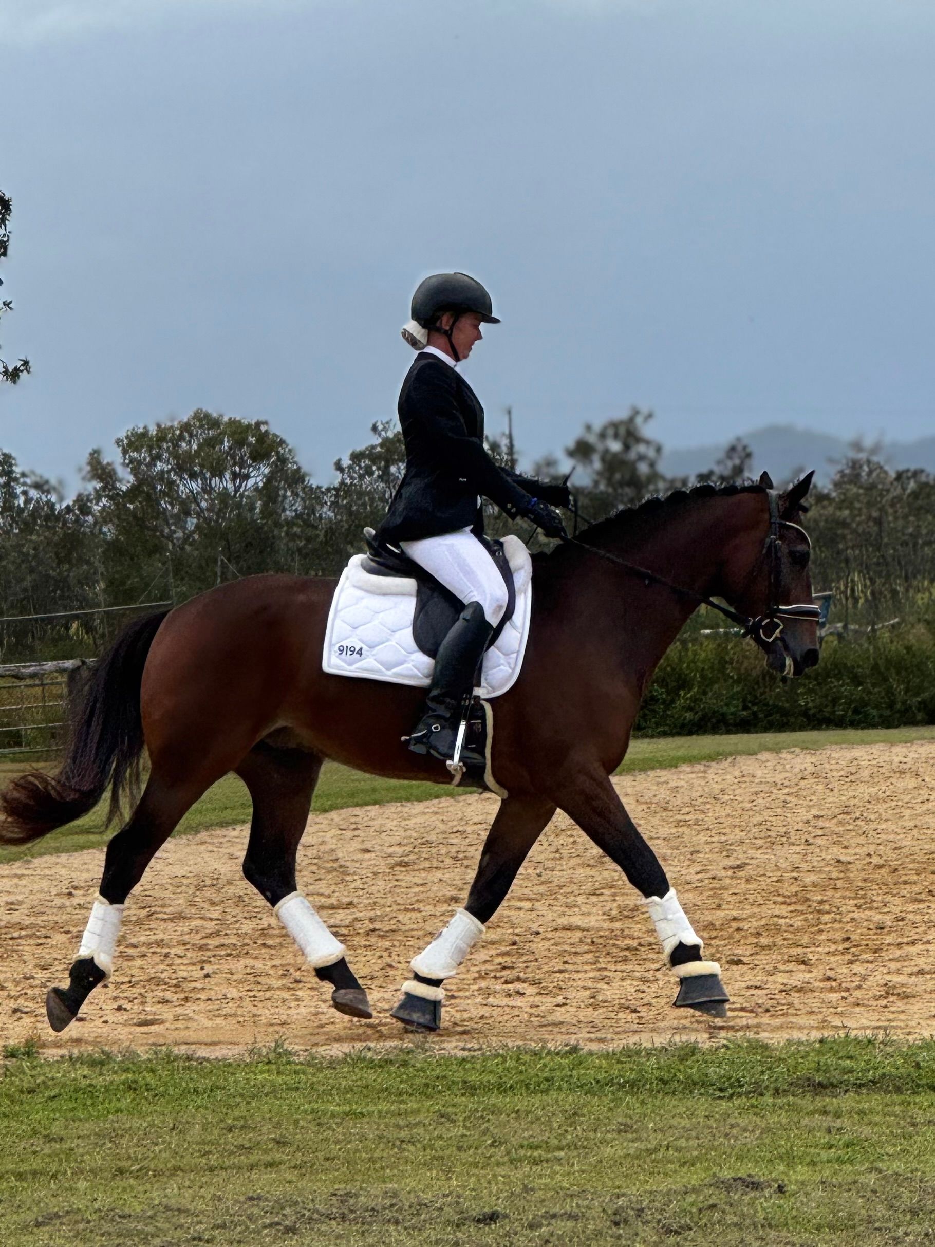 A Woman is Riding a Horse Over a Log in a Field — Meraki Equestrian Centre in Mareeba, QLD