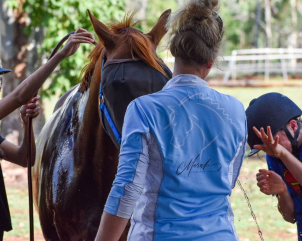 A Woman in a Blue Shirt is Standing Next to a Brown Horse — Meraki Equestrian Centre in Mareeba, QLD