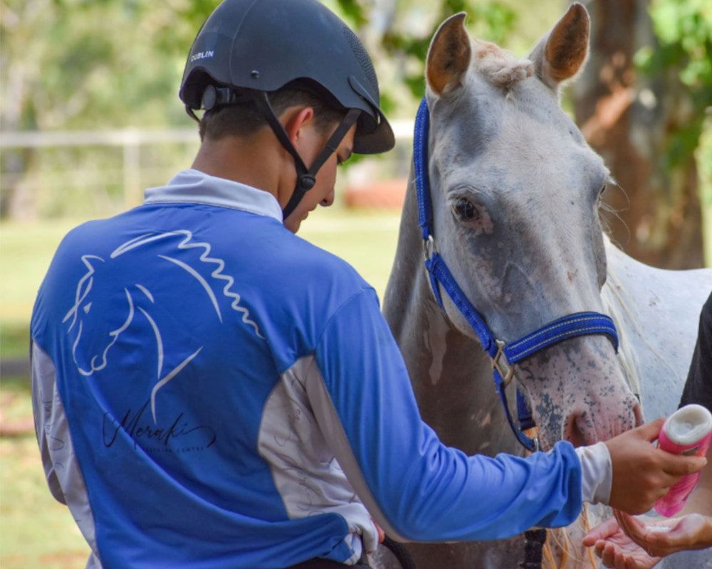 A Man in a Blue Shirt With a Horse on the Back is Feeding a White Horse — Meraki Equestrian Centre in Mareeba, QLD