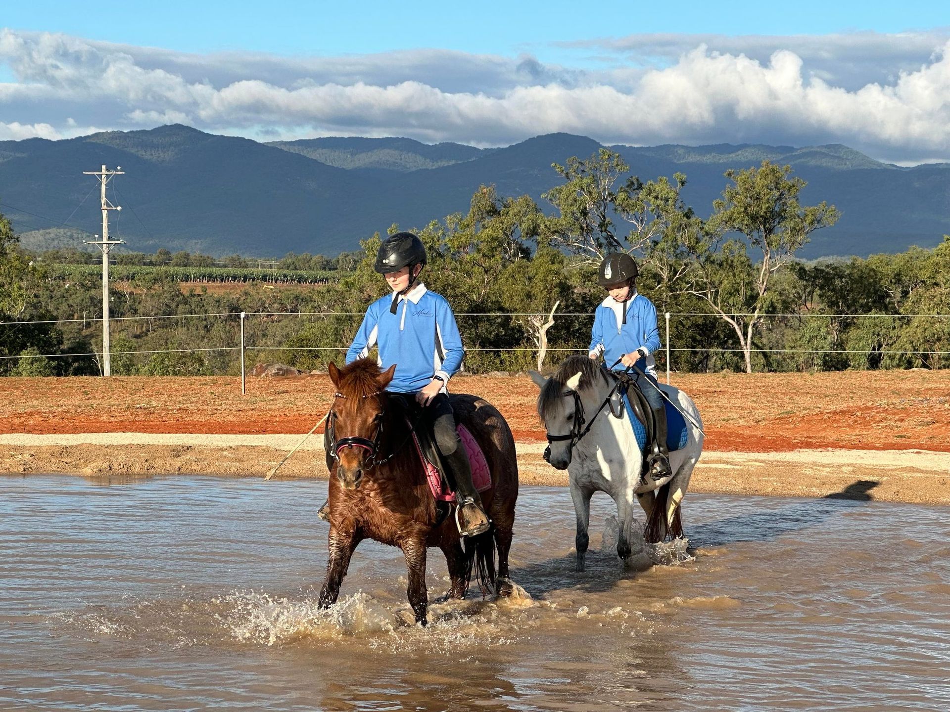 A Group of People Are Standing in a Stable Looking at Horses — Meraki Equestrian Centre in Mareeba, QLD