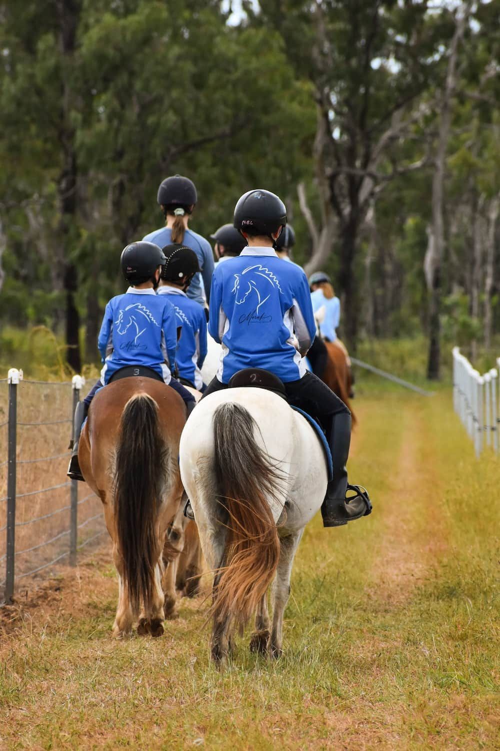 A Group of People Are Riding Horses Down a Dirt Road — Meraki Equestrian Centre in Mareeba, QLD