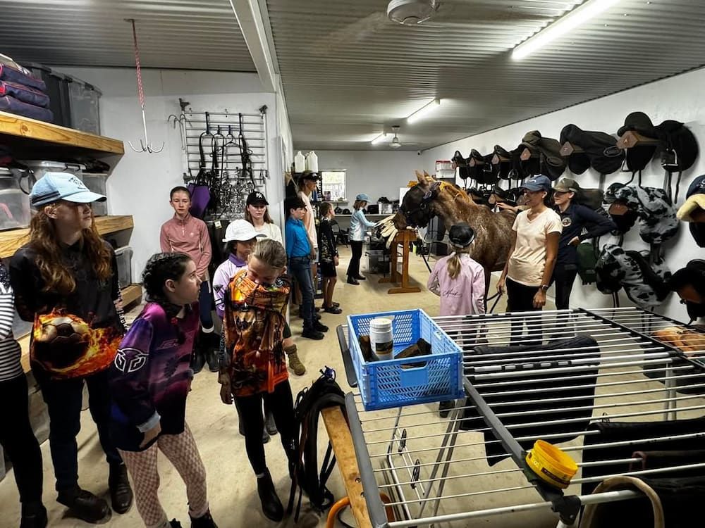 A Group of People Are Standing in a Stable Looking at Horses — Meraki Equestrian Centre in Mareeba, QLD