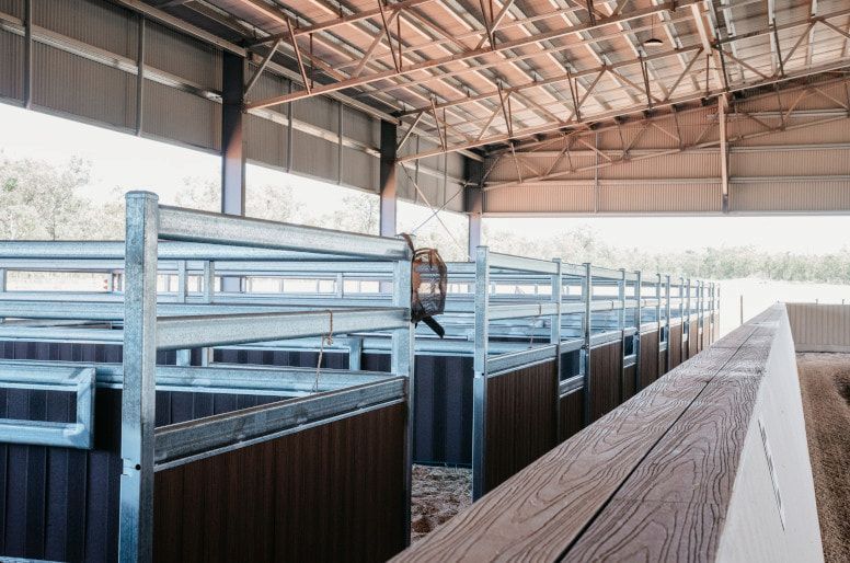 A Woman is Standing Next to a Black Horse in a Stable — Meraki Equestrian Centre in Mareeba, QLD