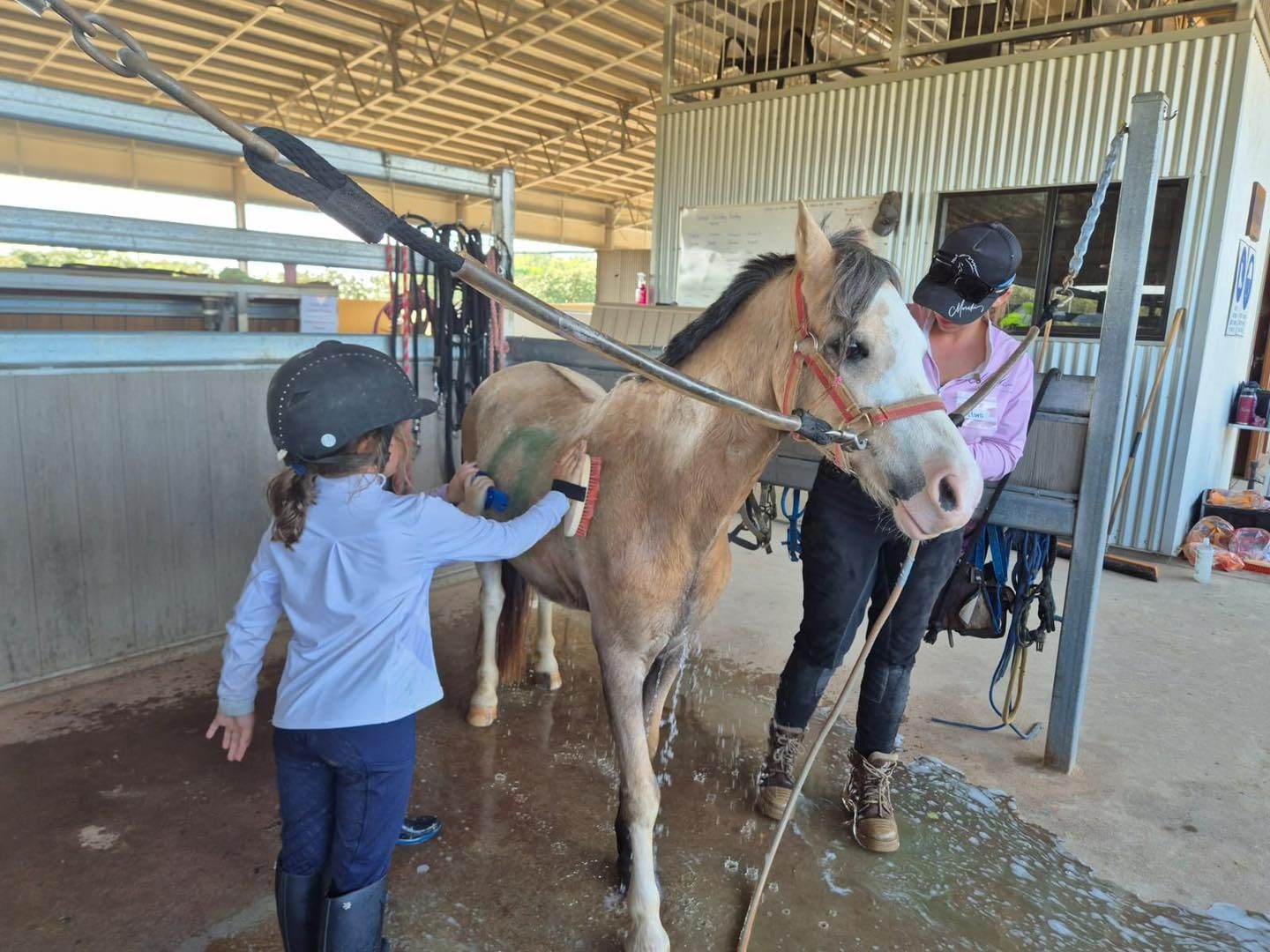 Woman and Kid Brushing Horse Pony
