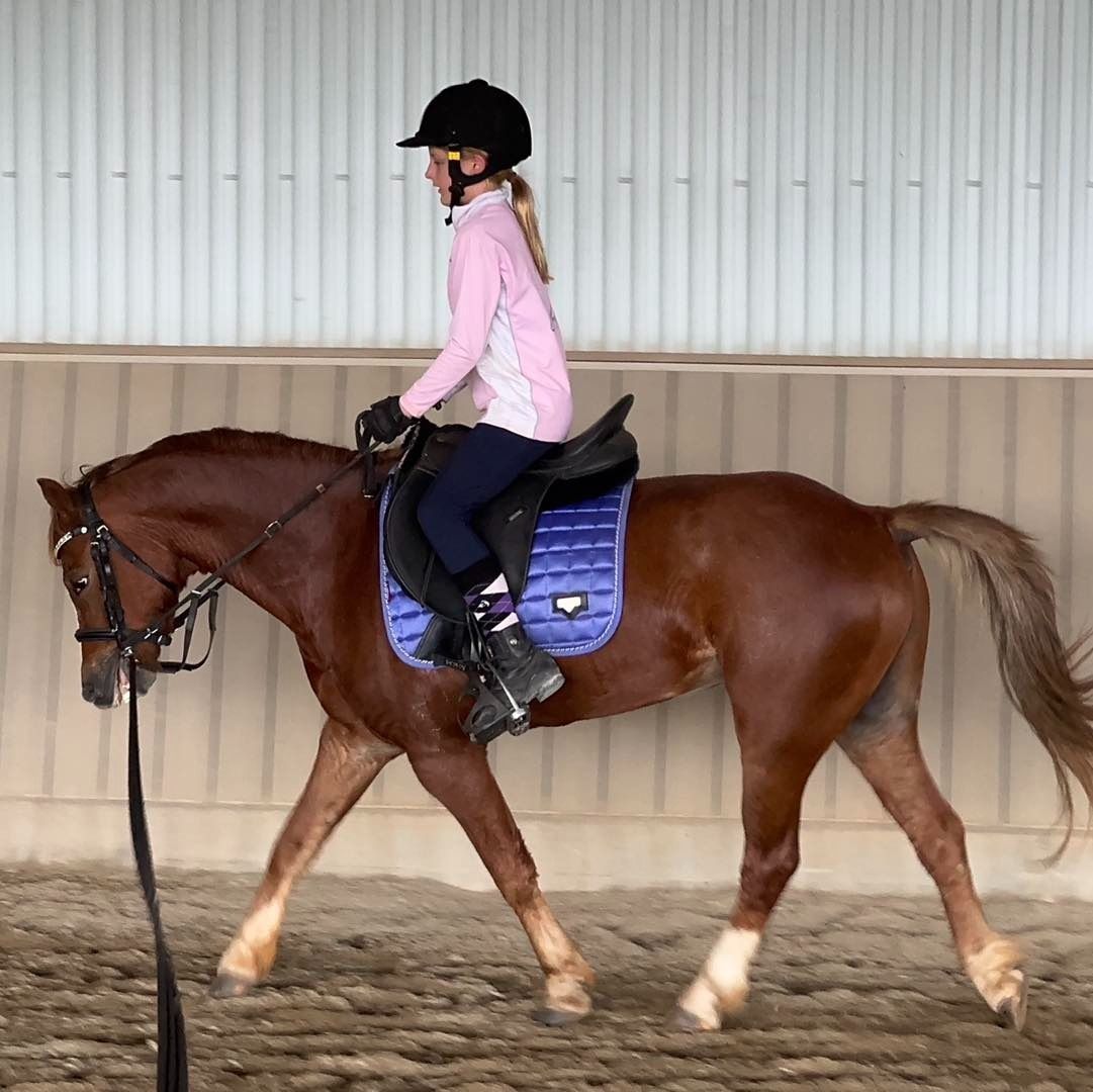 Young Rider in a Pink Jacket Horse Backriding