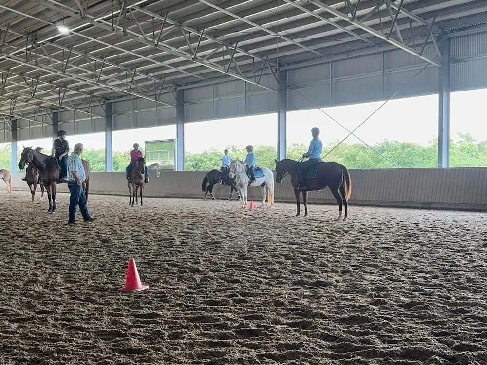 A Group of People Are Riding Horses in an Indoor Arena — Meraki Equestrian Centre in Mareeba, QLD