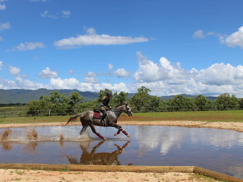 A Person is Riding a Horse in a Pond — Meraki Equestrian Centre in Mareeba, QLD