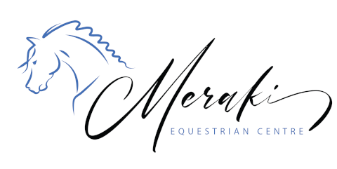 Horse Riding in the Tablelands