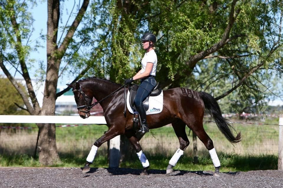 A Woman is Riding a Brown Horse in a Field — Meraki Equestrian Centre in Mareeba, QLD