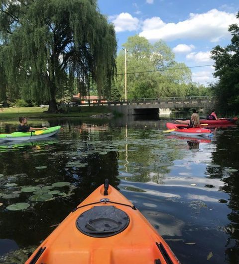 A group of people are paddling kayaks on a river.