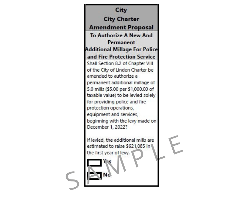 A sample of a city charter amendment proposal