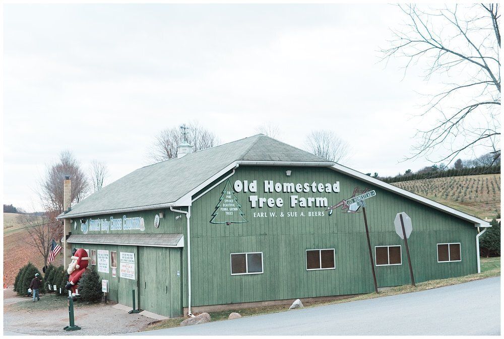Old Homestead Tree Farm Find Your Perfect Tree