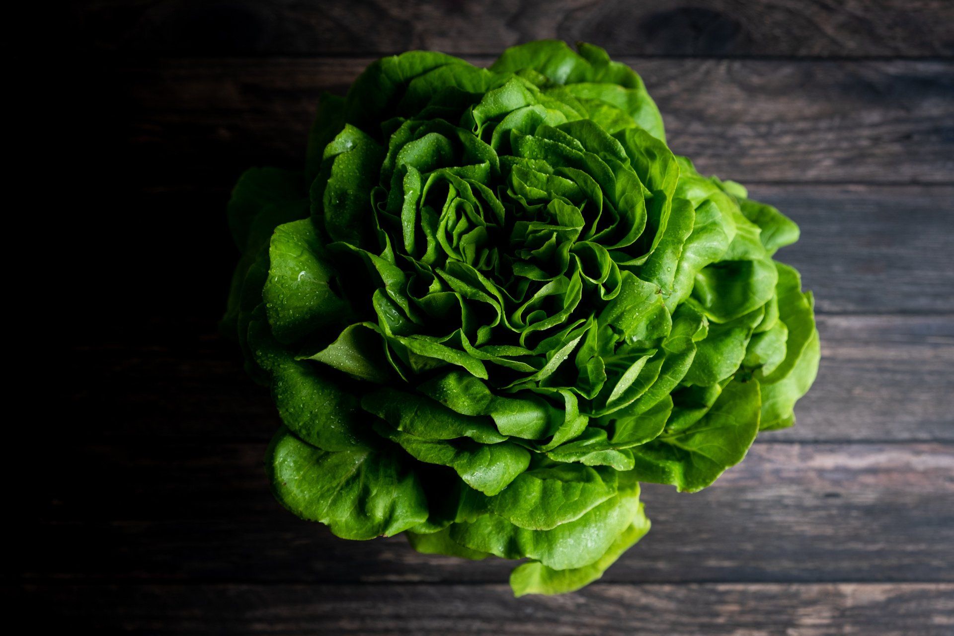 AGRICOLTURA BRUNA MARIO