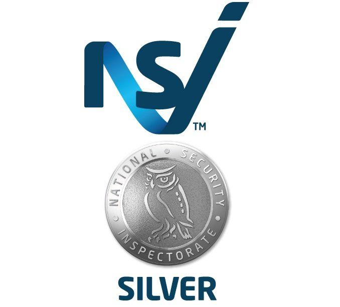 NSI Silver logo