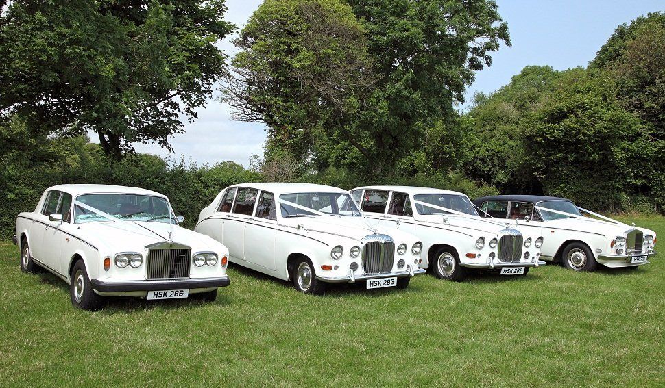 A collection of various white classic wedding cars