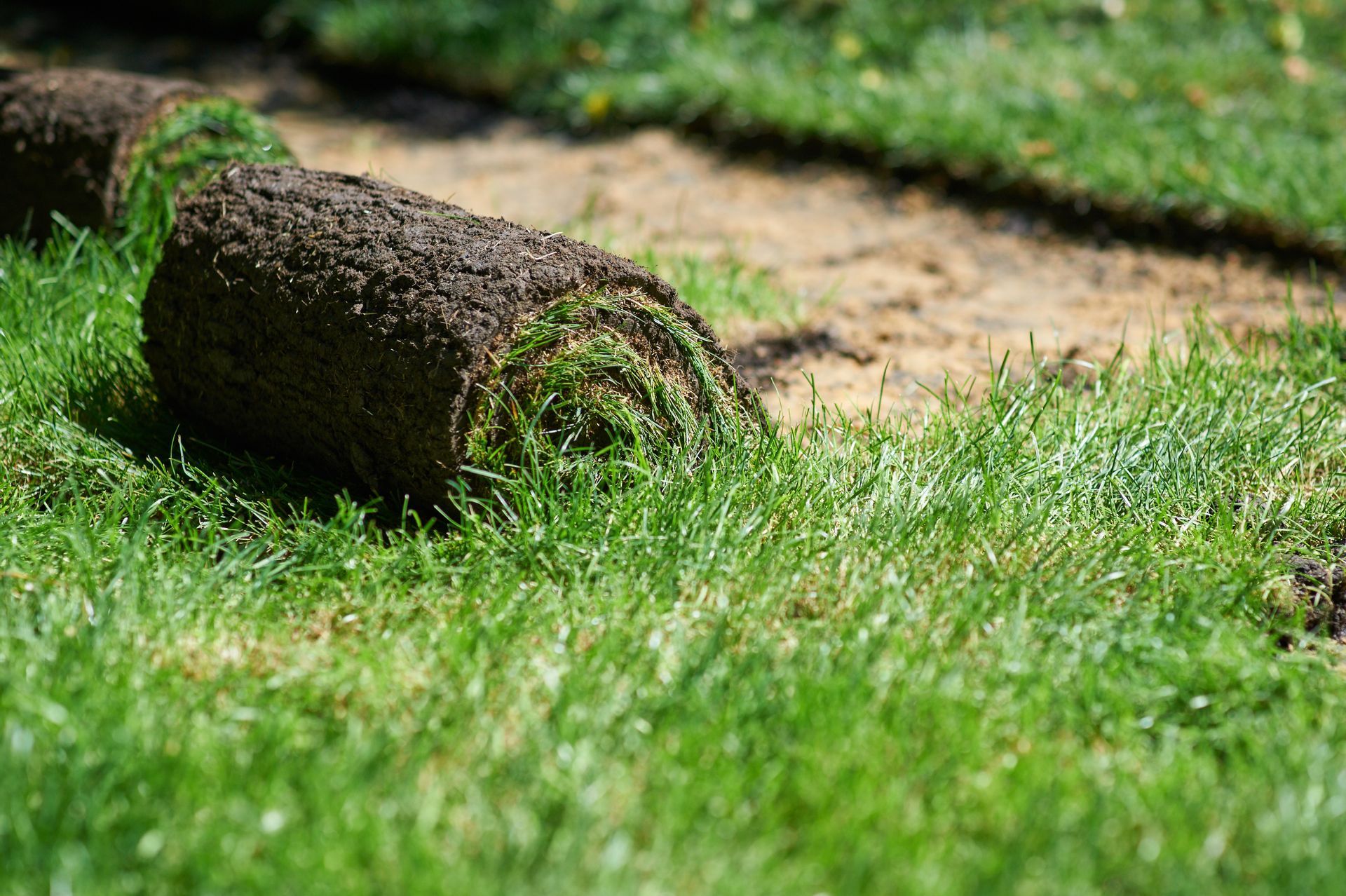 Rolls of turf are sitting on top of a lush green lawn.