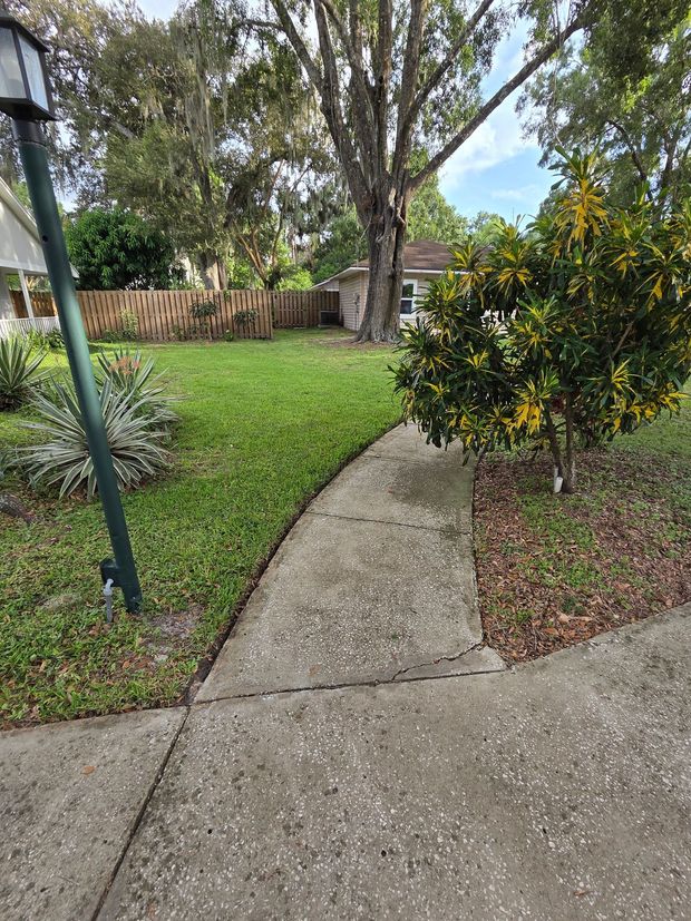 Concrete sidewalk curving through grass, leading to a small house and trees.