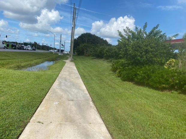 Sidewalk along grassy area with bushes and a roadway under a blue sky.