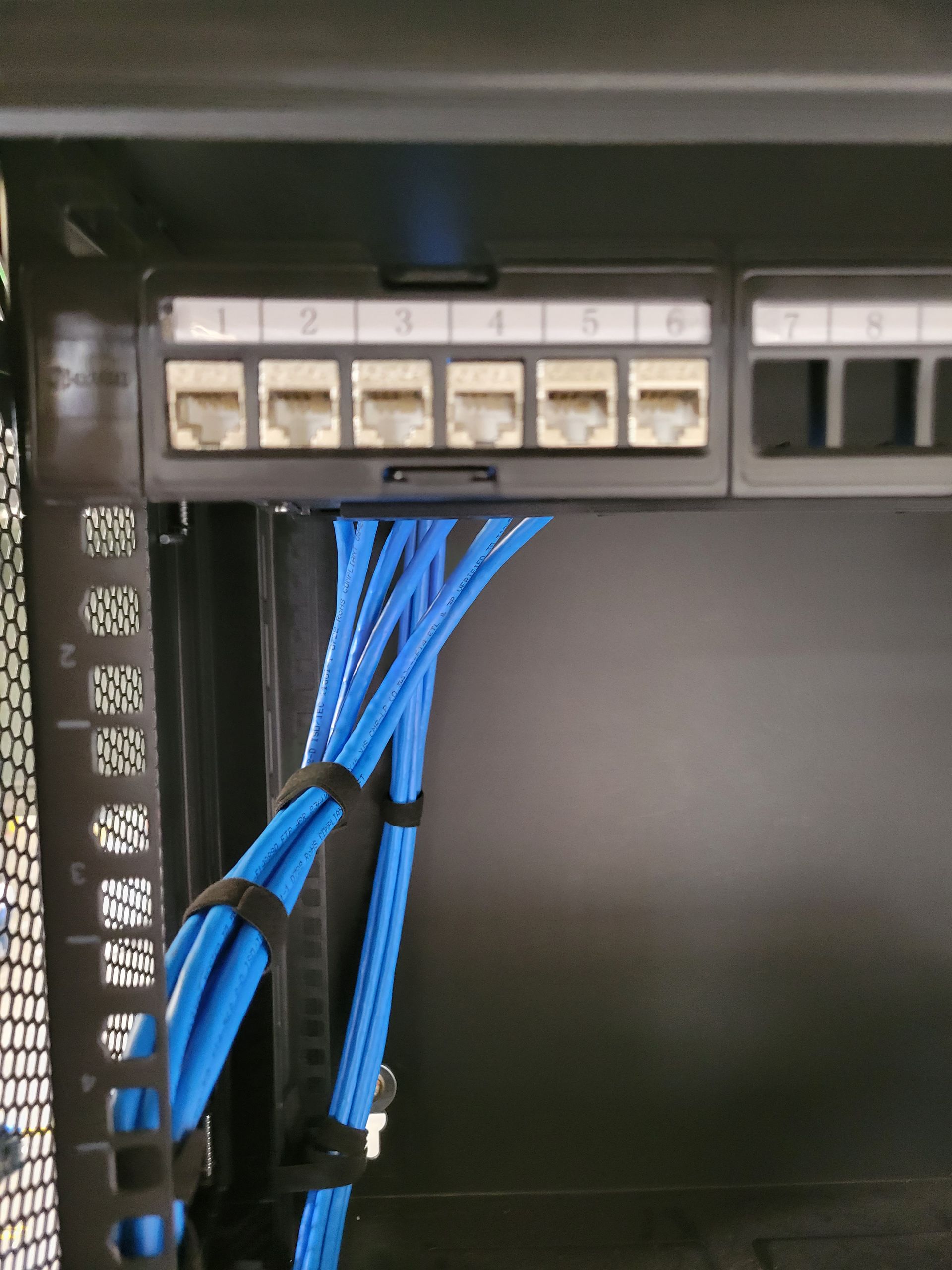 A bunch of blue wires are connected to a black box