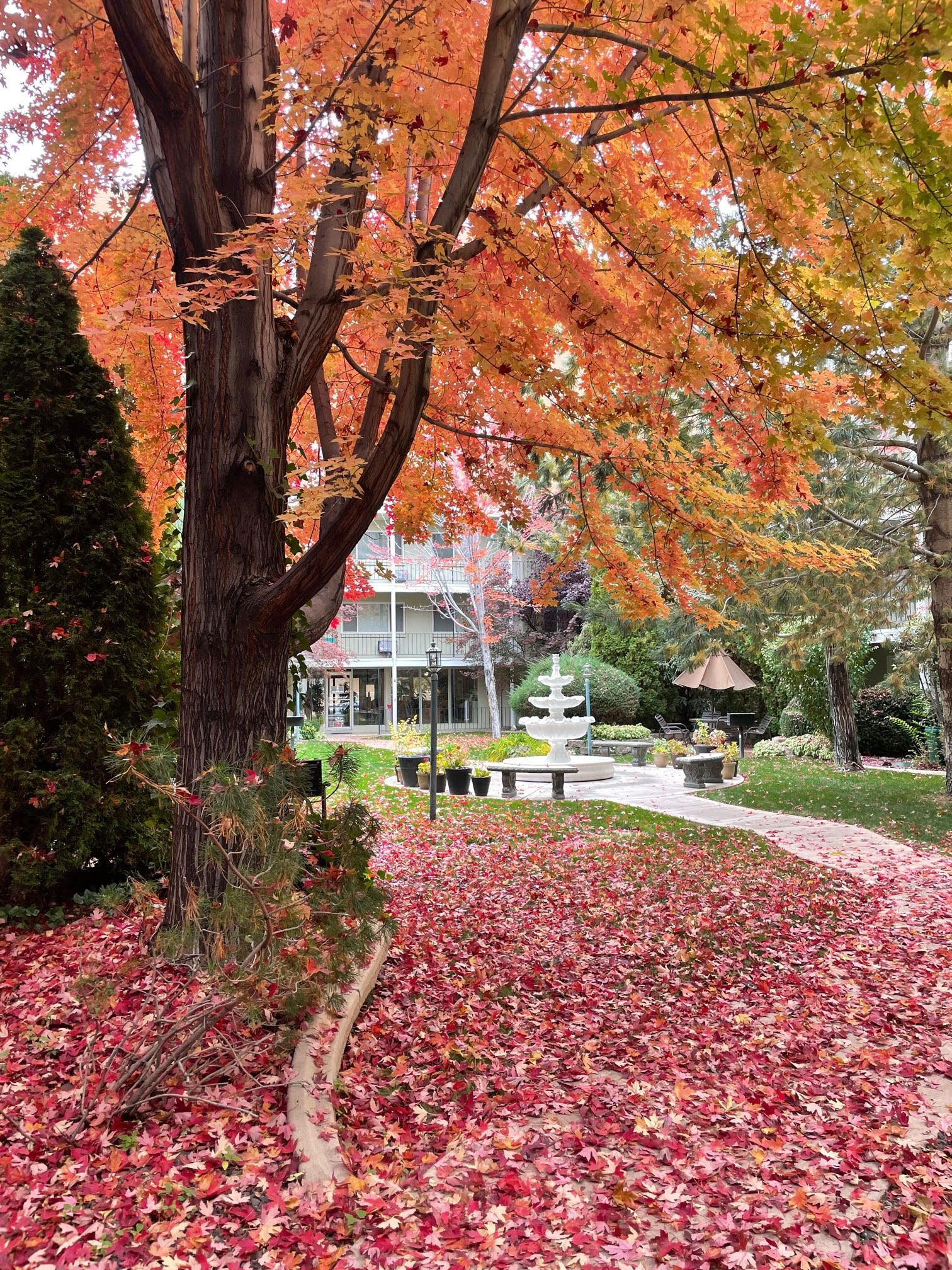 Exterior view of River Arms Apartments property grounds, lush courtyard with water fountain.