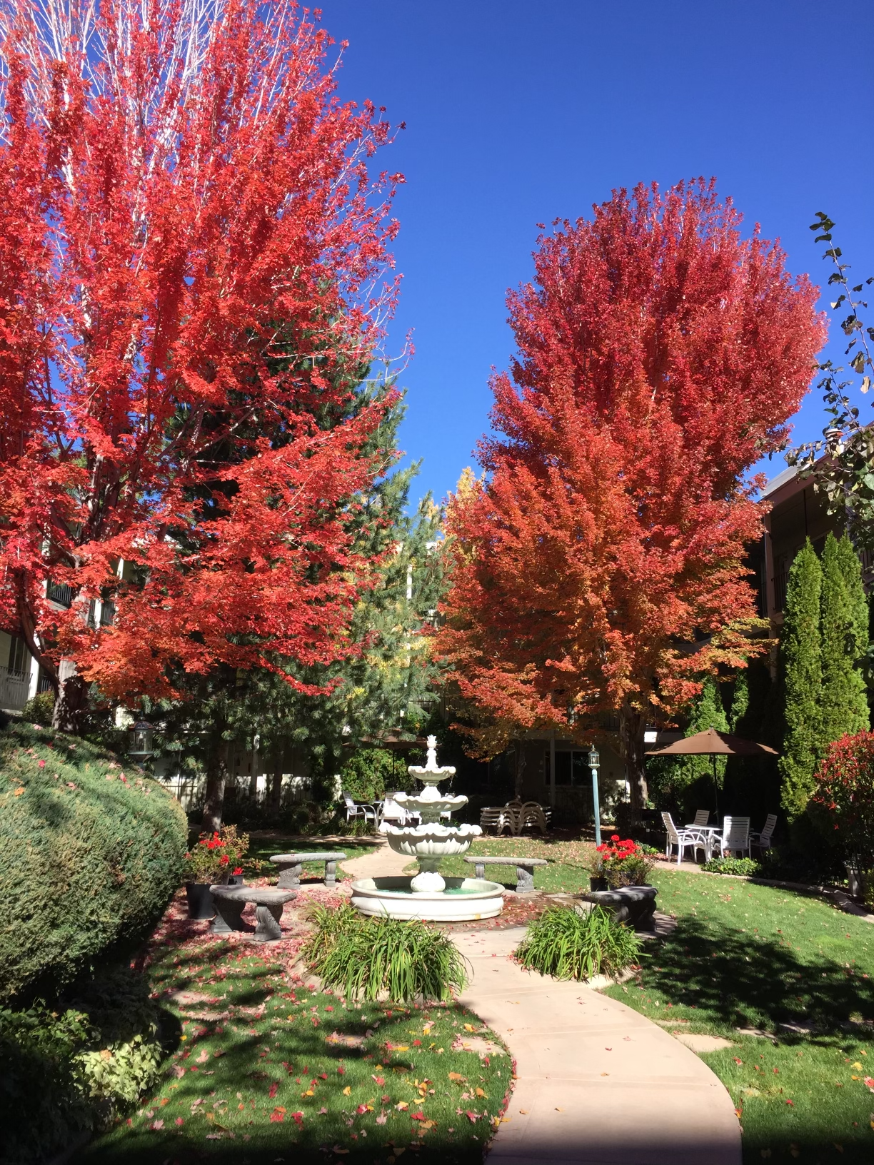 Exterior view of River Arms Apartments property grounds, lush courtyard with water fountain.