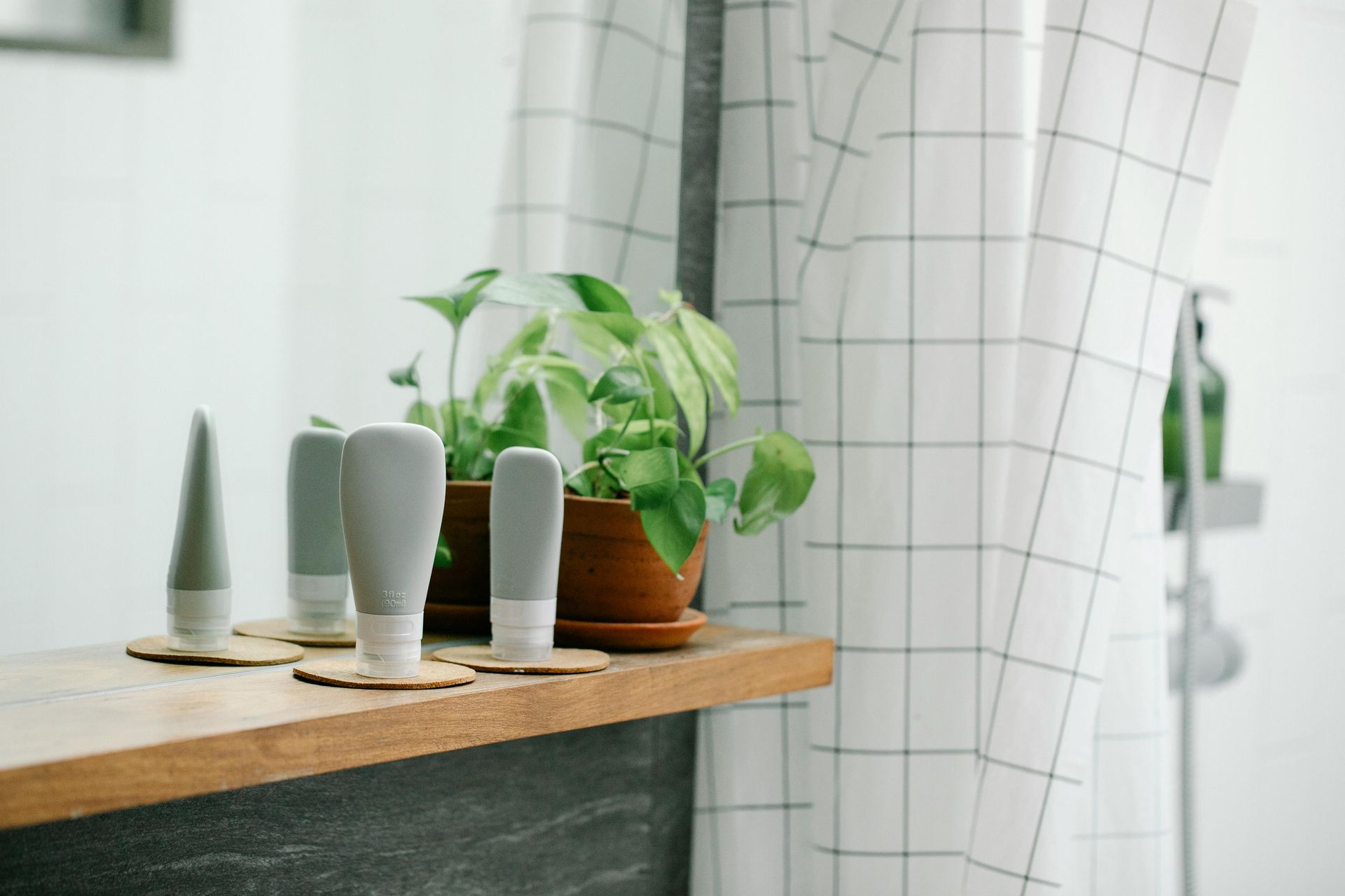 A bathroom with a plant and bottles on a shelf.
