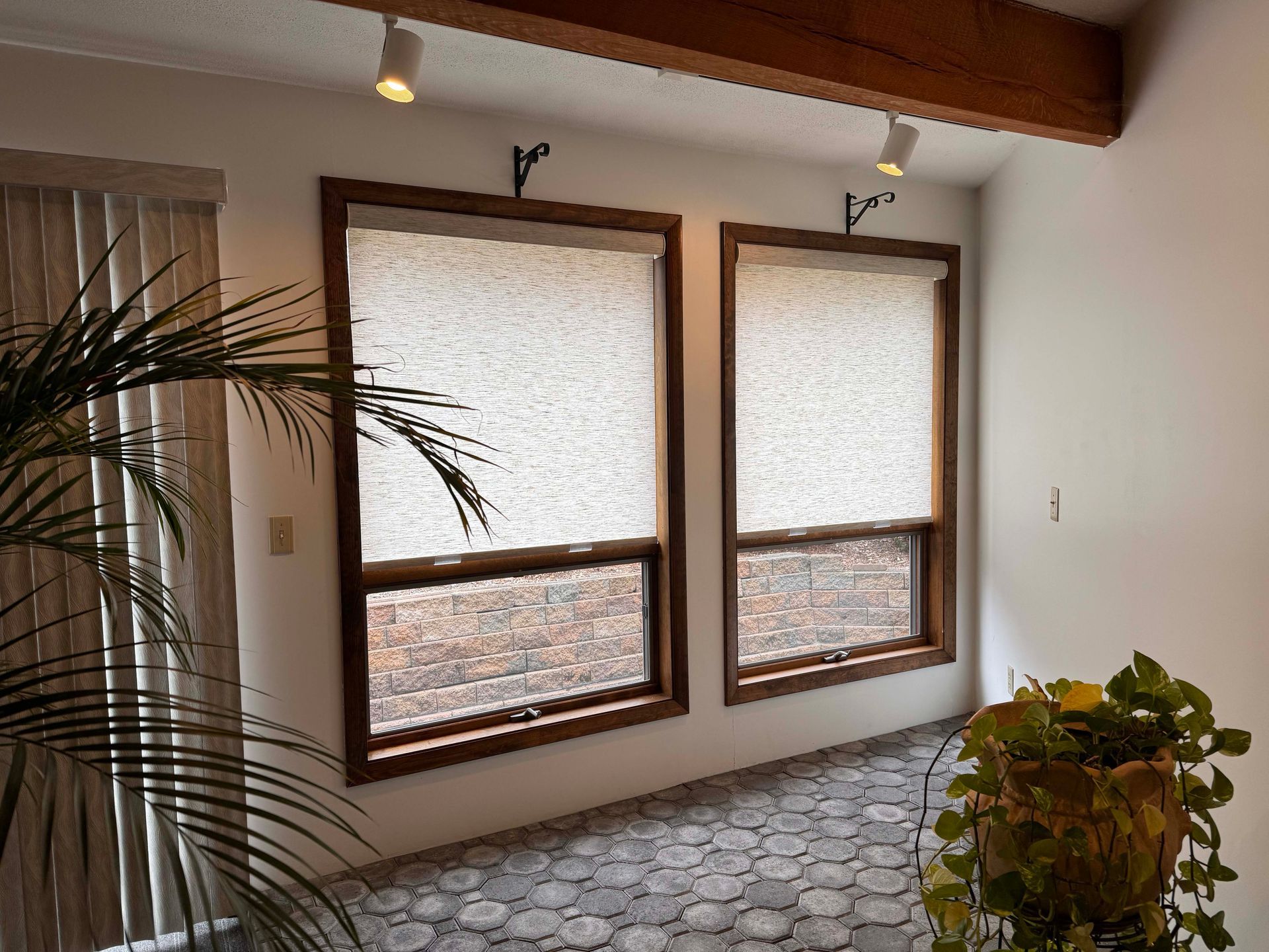 A room with two windows and a potted plant