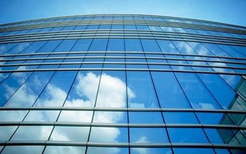 D'KIKI'S- Polarizado con tinte y sin tinte