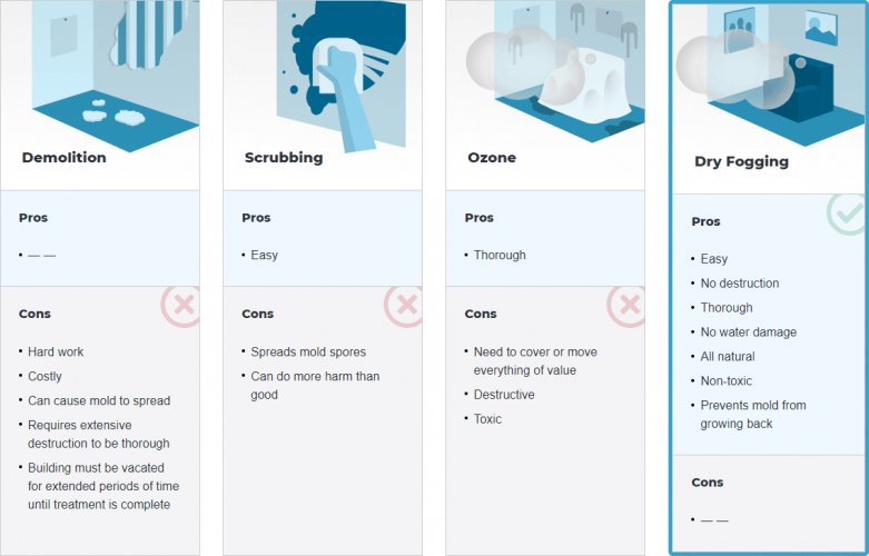 Infographic about the different ways of removing mold