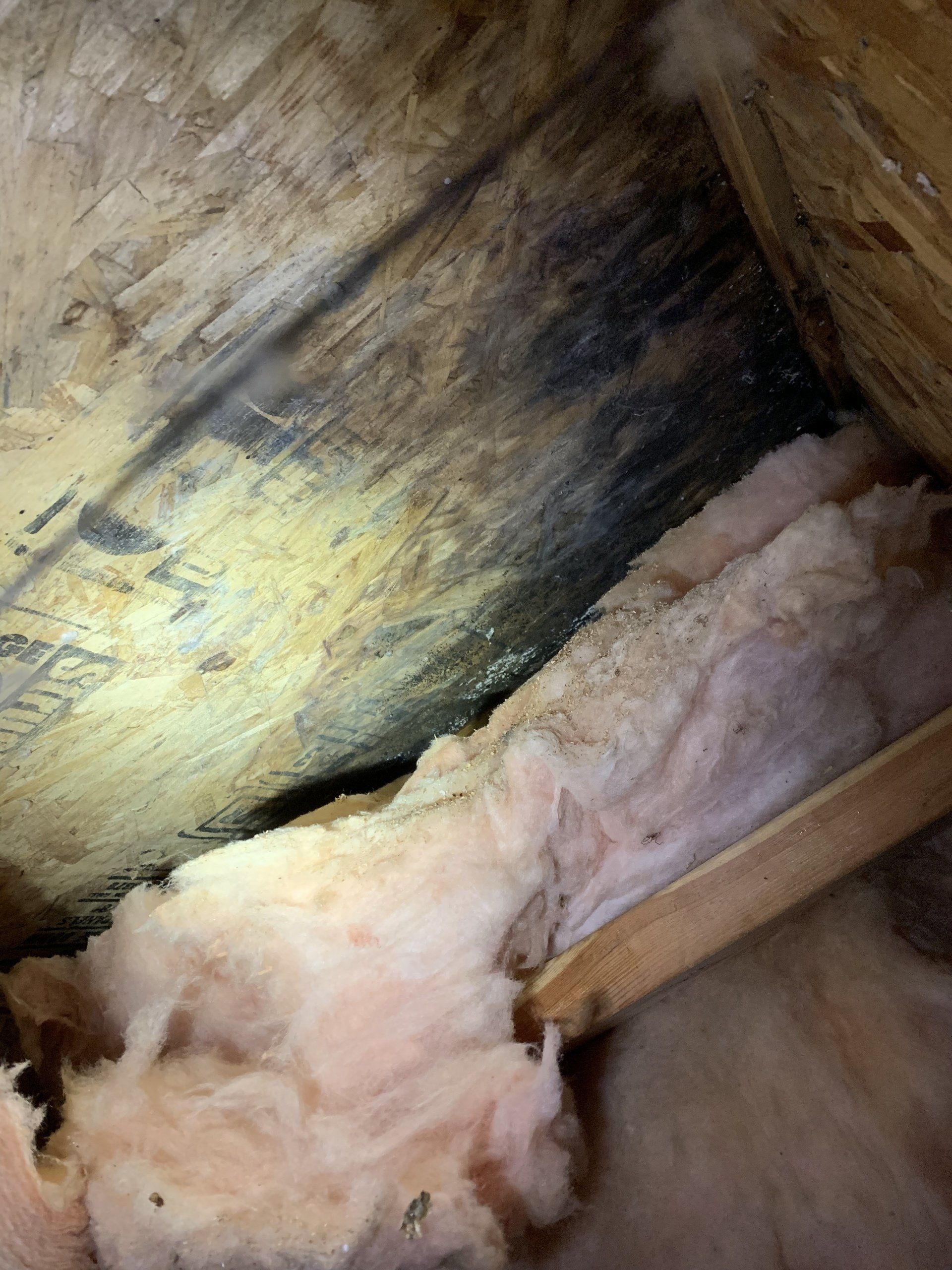 Dry fog remediation inside the room