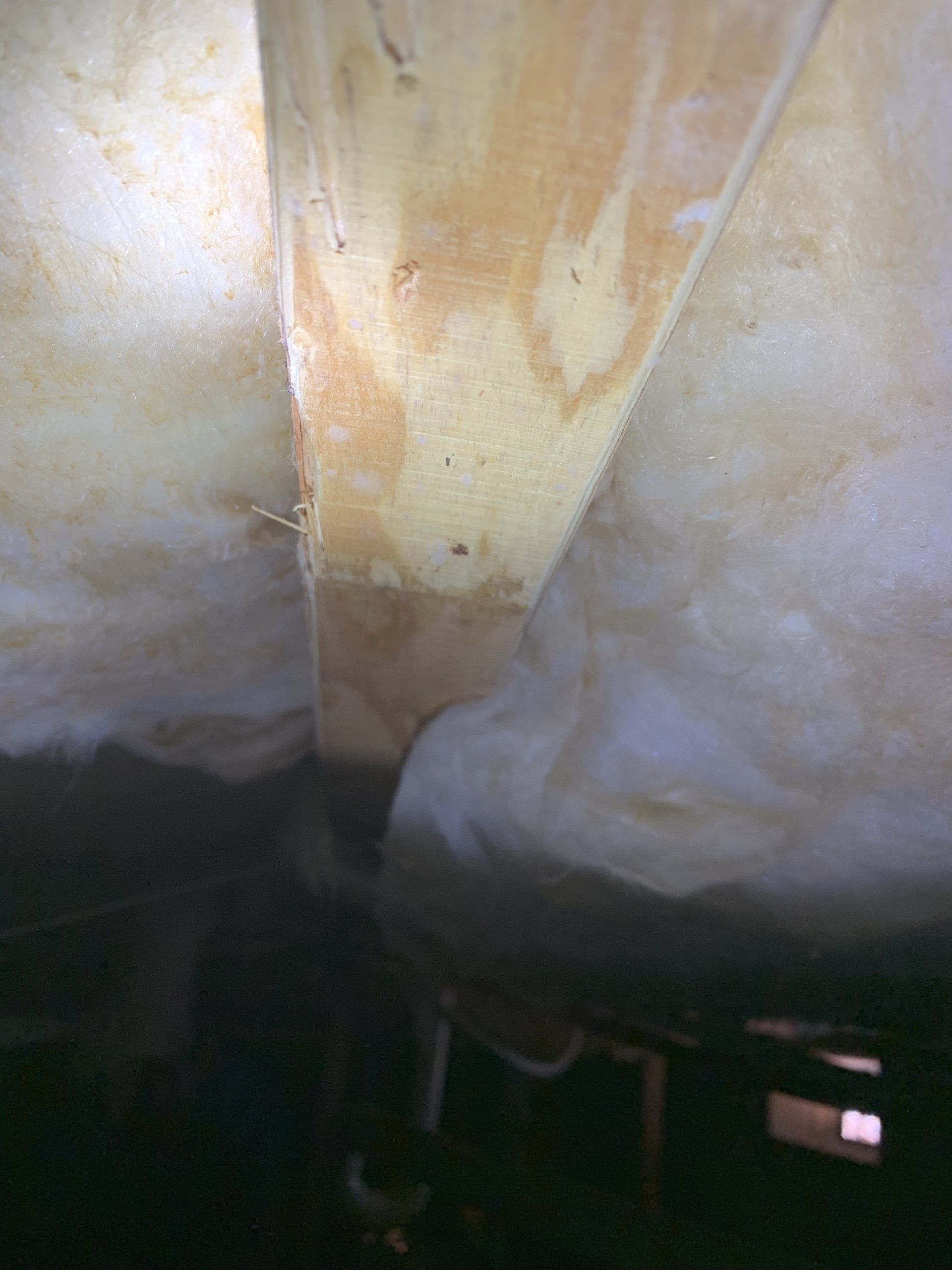 Dry fog remediation inside the room