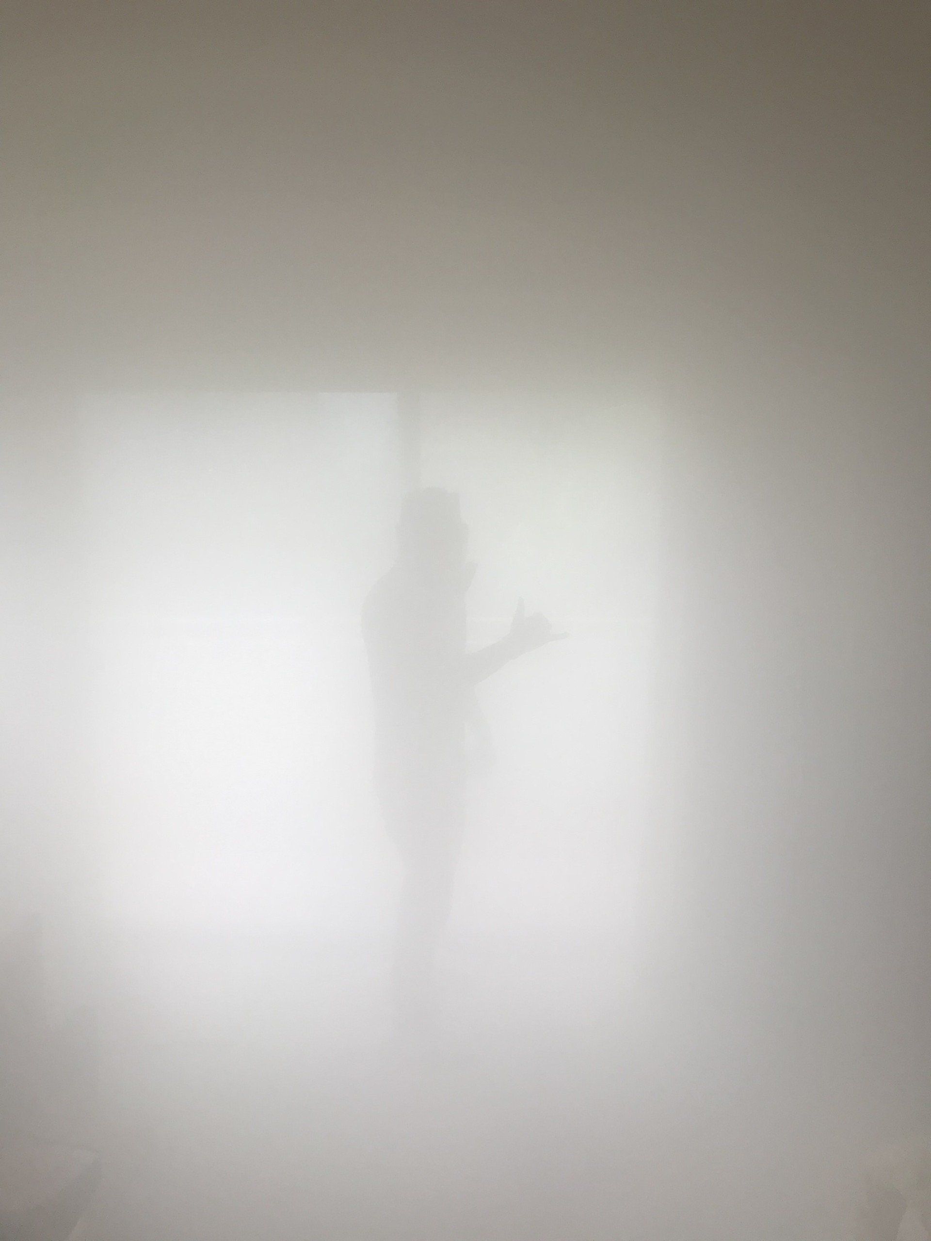 Dry fog remediation inside the room