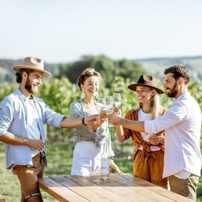 Four friends toast with wine glasses at a vineyard on a sunny day.