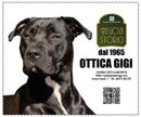FOTOTTICA GIGI sas_logo