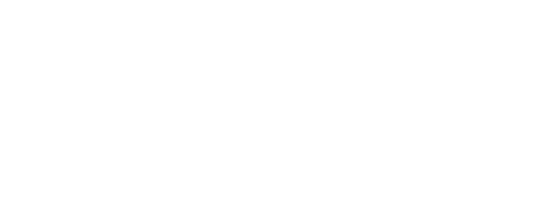logo Valfilm horizontal