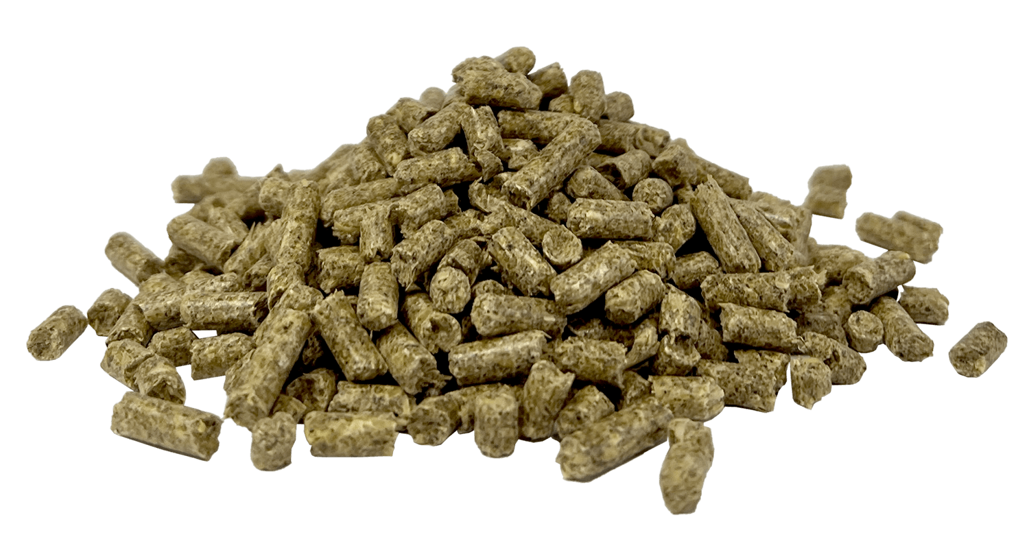 Fibre Assist | Horse Feed Range from Harwood Grains