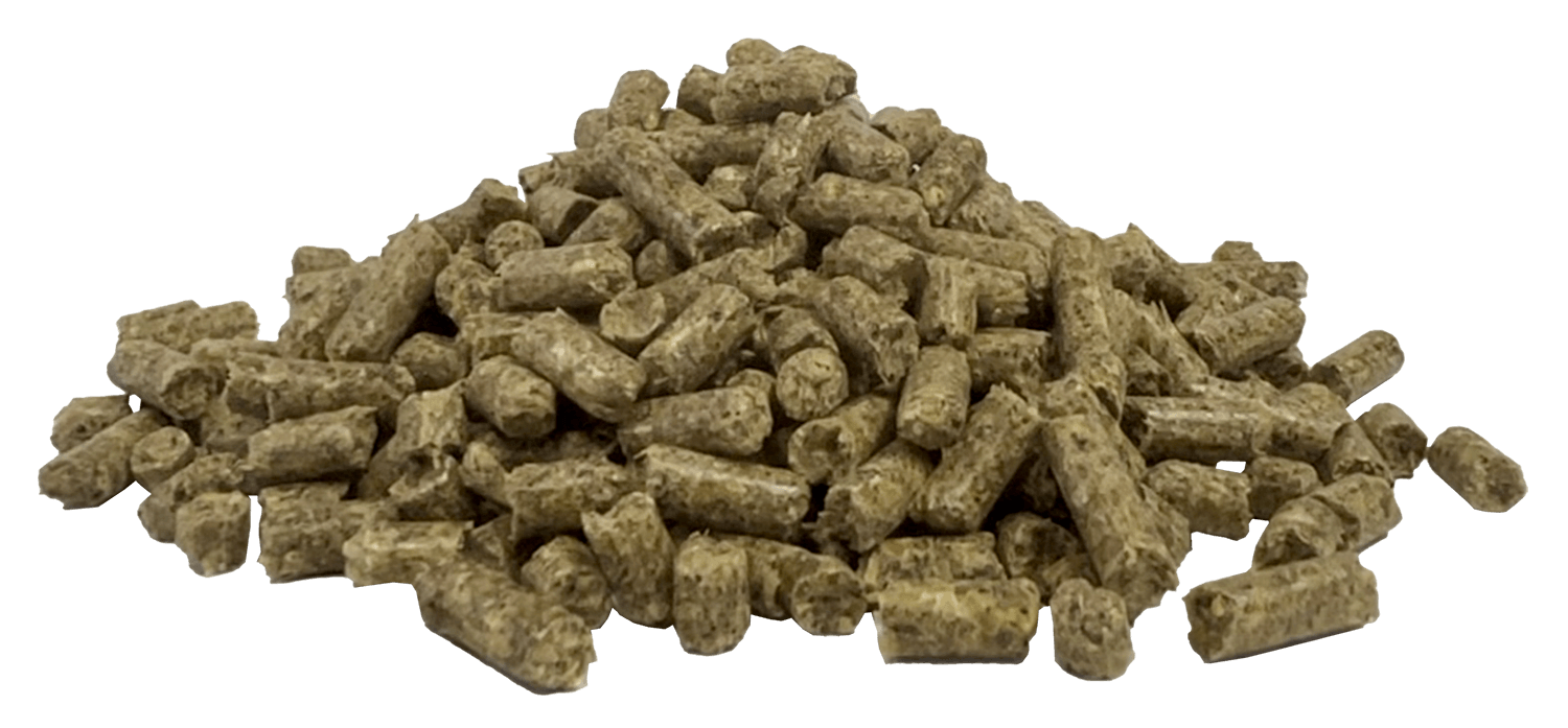 Fibre Assist | Horse Feed Range from Harwood Grains