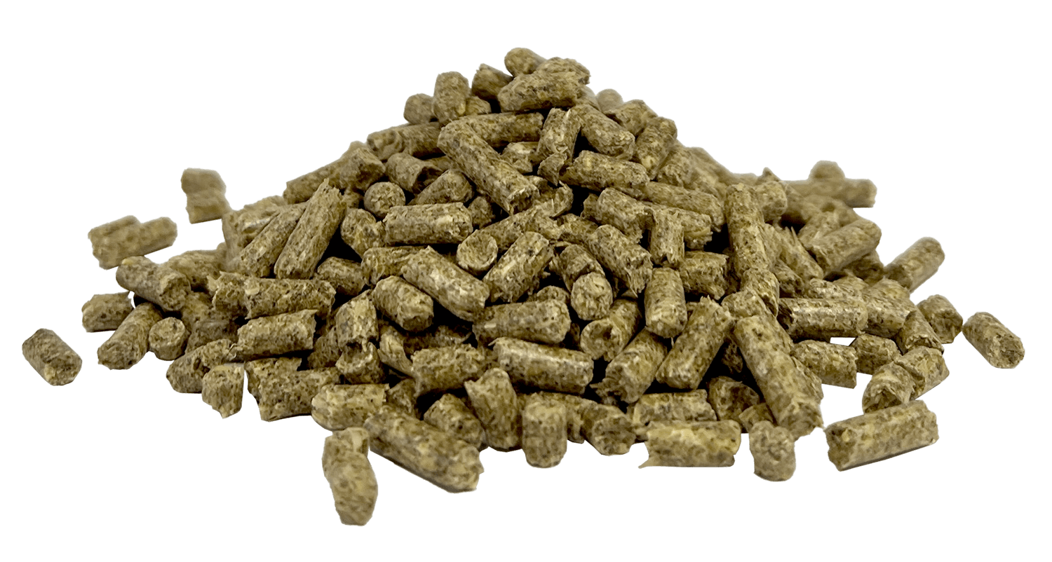 Fibre Assist | Horse Feed Range from Harwood Grains