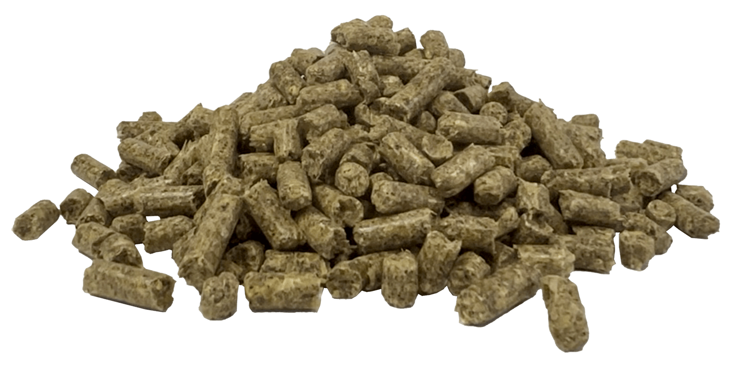 Fibre Assist | Horse Feed Range from Harwood Grains
