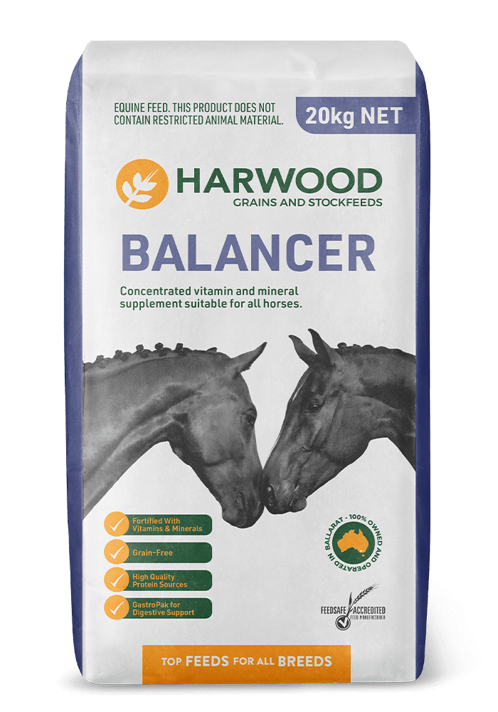 Balancer - Premium Horse Feed Product from Harwood Grains