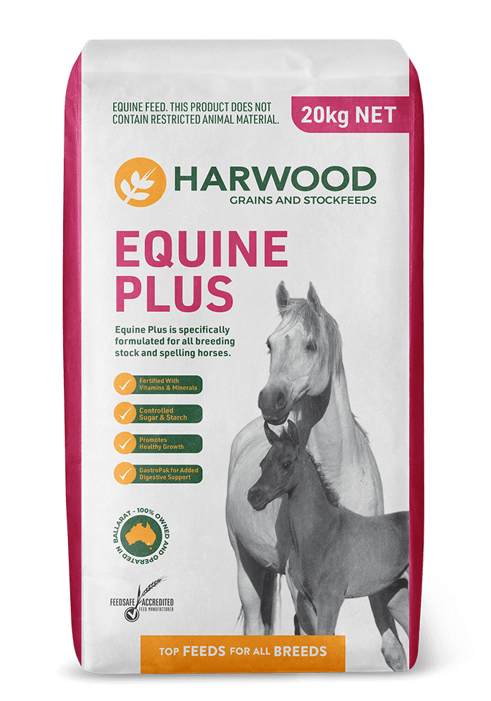 Quality Horse Feed Product - Equine Plus - Harwood Grains