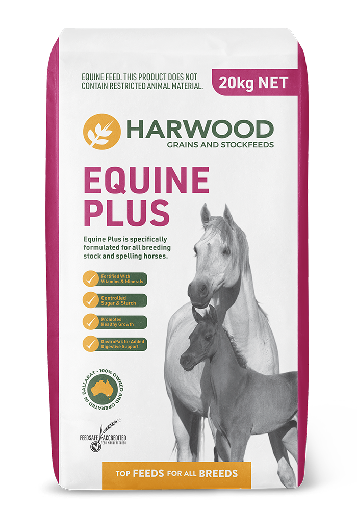 Equine Plus - Feed Product from Harwood Grains
