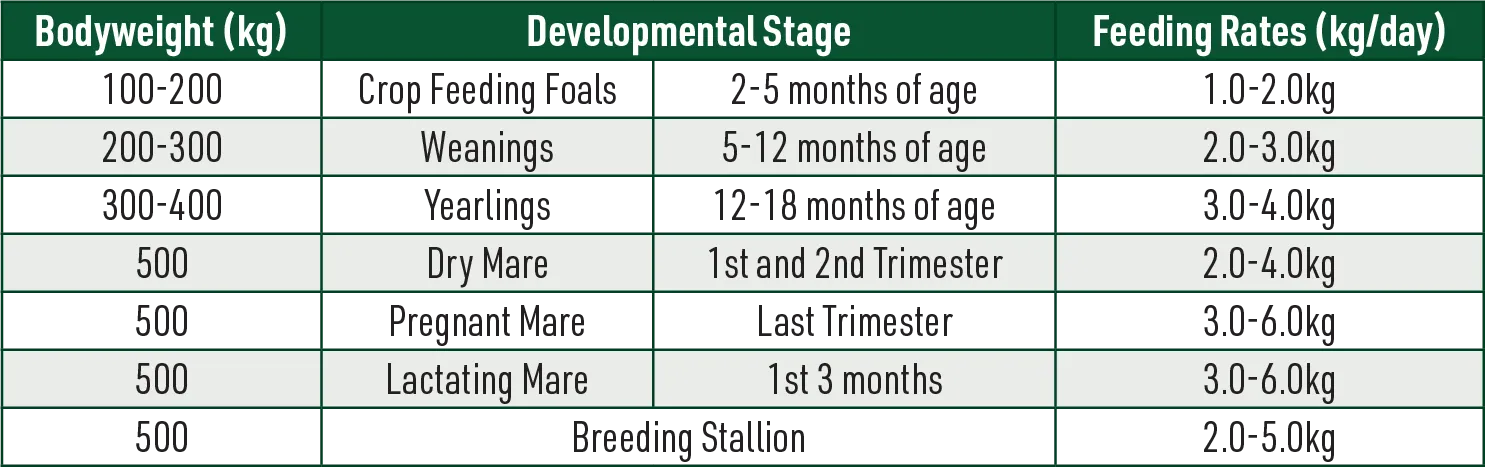 Equine Plus Horse Feed Guide