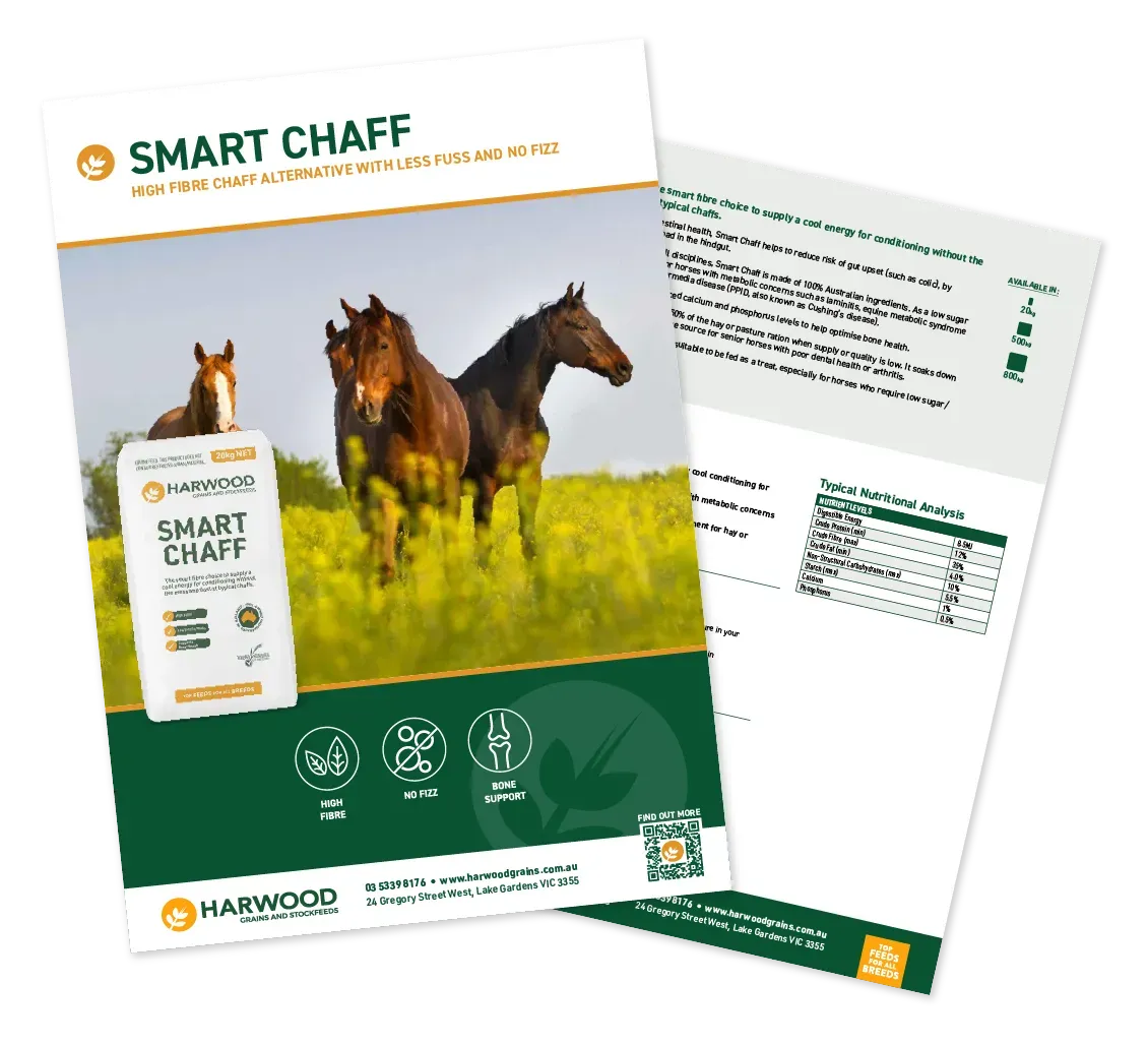 Smart Chaff Horse Feed Flyer