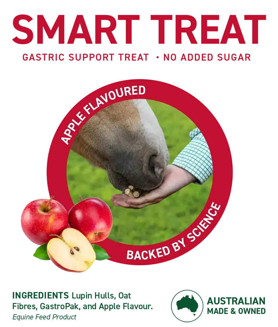 Gastric Support Treat for Horses - Harwood Grains