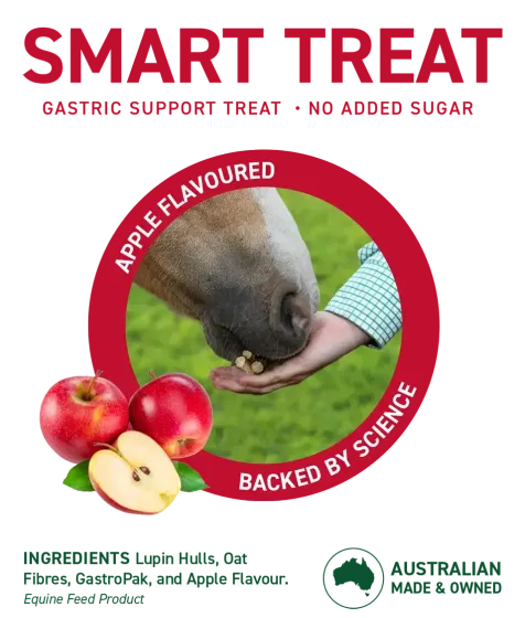 Gastric Support Treat for Horses - Harwood Grains