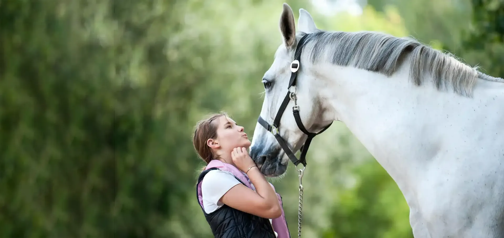 GastroPak is a scientific blend to suport your horse's digestive system