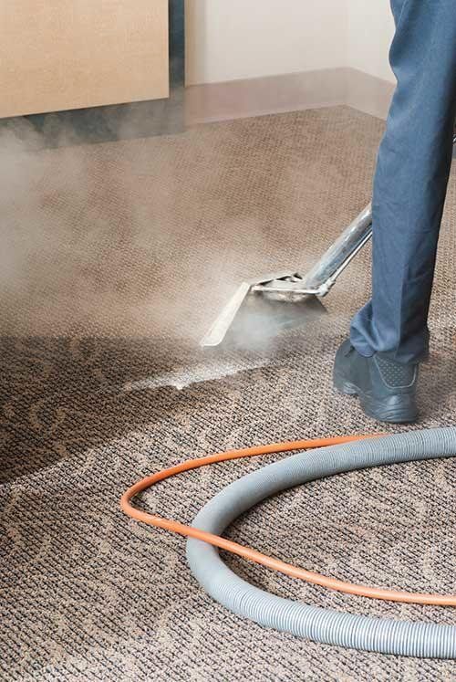 Person steam cleaning carpet in a room, using a carpet cleaner with a hose.