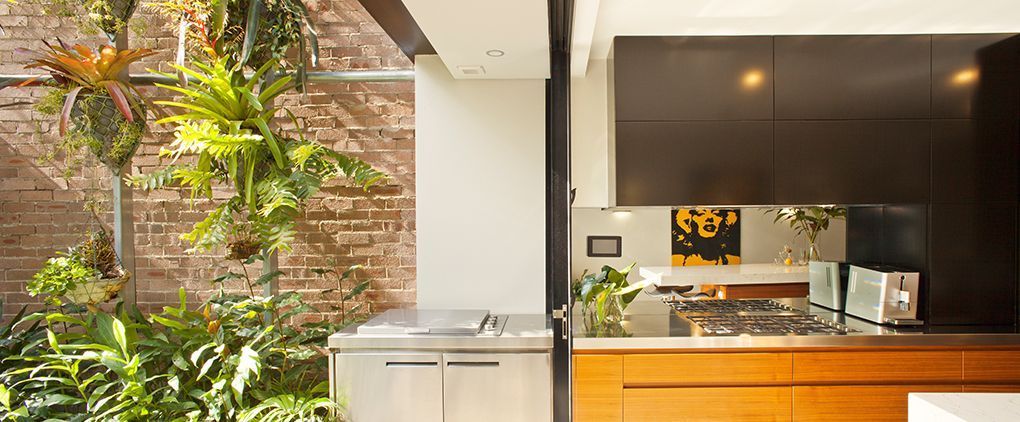 Kitchen With Plants, Stainless Steel Appliances, and Dark Cabinets — Burmah Constructions In Kangaroo Valley, NSW